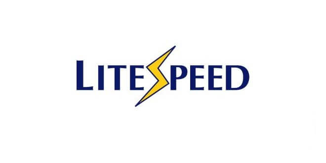 Fast & powerful LiteSpeed servers